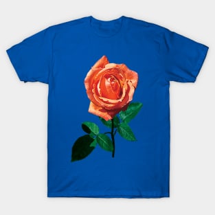 Roses - Graceful Orange Rose T-Shirt